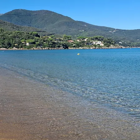 Napoleon - Mv 公寓 *