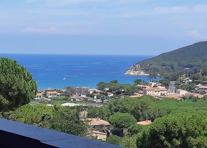 Napoleon - Mv * 普罗基奥