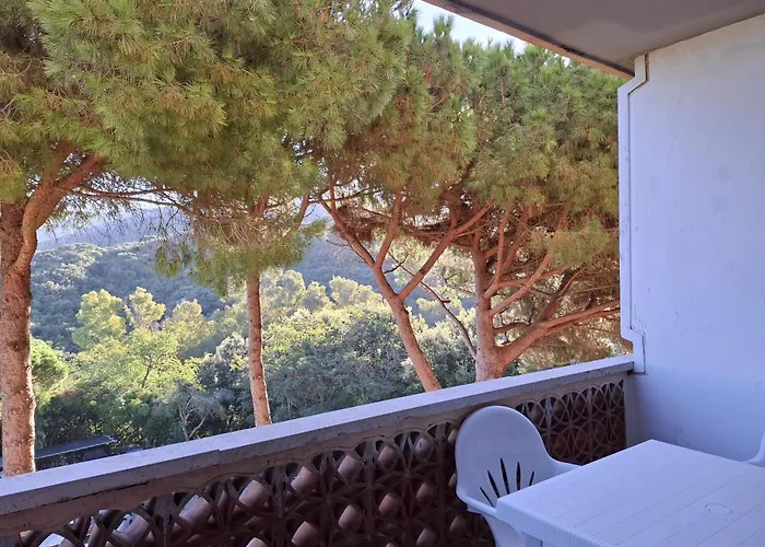 公寓 Napoleon - Mv *