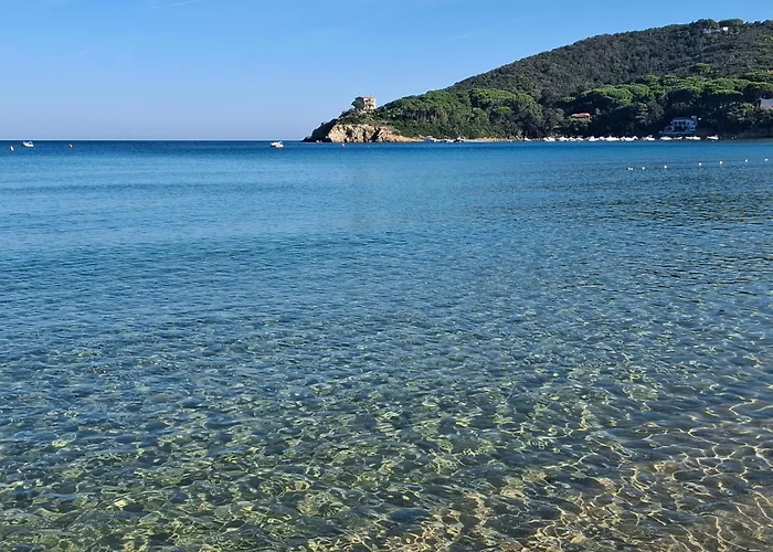 Napoleon - Mv 公寓 普罗基奥