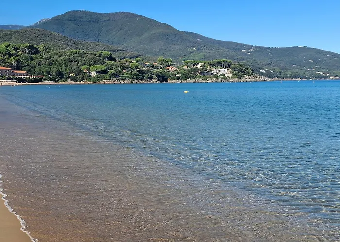 Napoleon - Mv 公寓 *